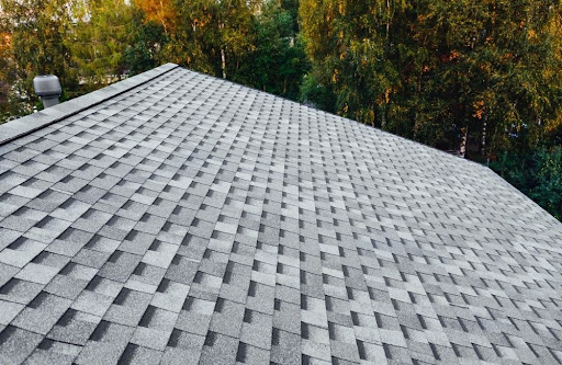 Gray asphalt shingle roof viewed from above, surrounded by green and yellow trees in the background.