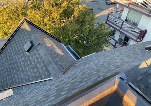 View from a rooftop showing asphalt shingles, a tree nearby, and part of an adjacent multi-story building with balconies.